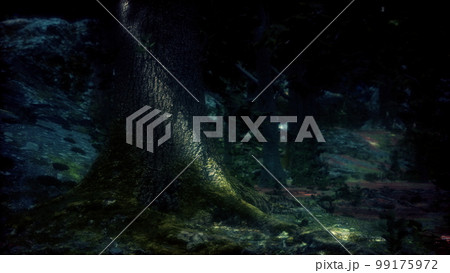 Rain forest in Central America 99175972