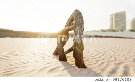 piece of an old root is lying in the sand of the beach 99176108
