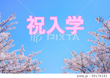 祝入学の文字と桜フレーム 99176183