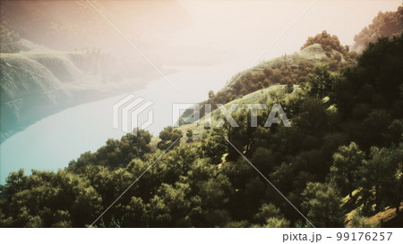 An aerial view of tropical rainforest in the morning misty 99176257