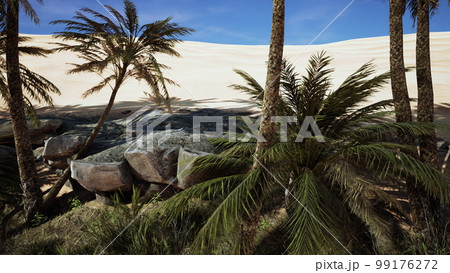 Landscape of oasis with palm trees Landscape of oasis with palm trees 99176272