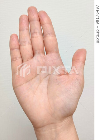 手相　右手 99176497