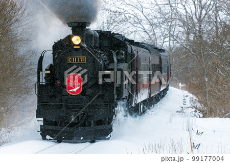 細雪の中を走るSL冬の湿原号　塘路駅付近 99177004
