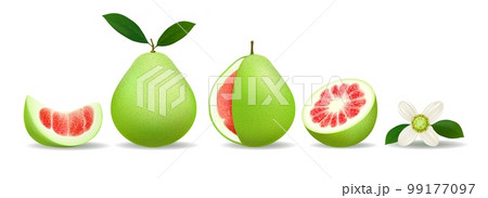 Pomelo whole slices and flower 99177097