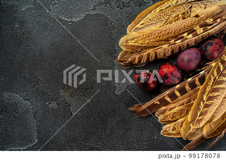 Easter quail eggs in feathers on dark background 99178078