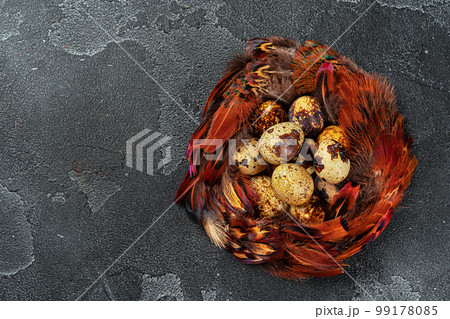 Easter quail eggs in feathers on dark background Easter quail eggs in feathers on dark background 99178085
