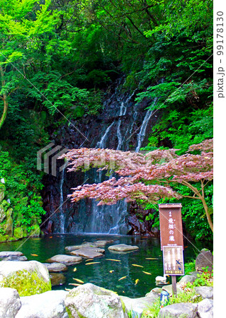 【神奈川】曇天の箱根　箱根神社分宮玉簾神社の飛烟の瀧 99178130