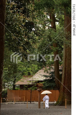 伊勢神宮内宮杉の大木と人物 伊勢神宮内宮杉の大木と人物 99178341