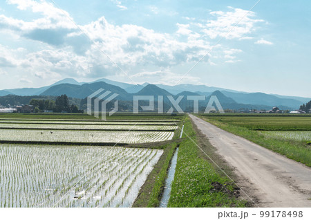 田舎の田園風景 99178498