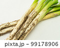 土付きのネギ 99178906