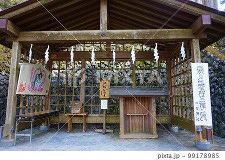 三峯神社　神社　秩父三社　縁結びの木　ヒノキ　モミ 99178985