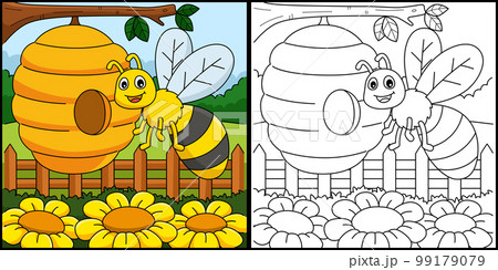 Spring Bee with a Beehive Coloring Illustration Spring Bee with a Beehive Coloring Illustration 99179079