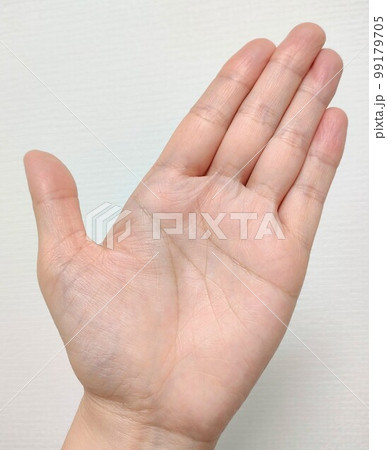 手相　左手 99179705