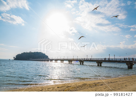 《愛知県》蒲郡市　竹島 99181427