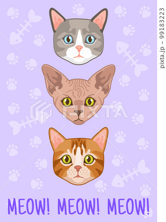 Cats card. Different breed cute cat head, meow text. Poster or t-shirt print, notebook cover, animal stylish portrait and lettering, modern kitten face, vector cartoon flat illustration 99183223