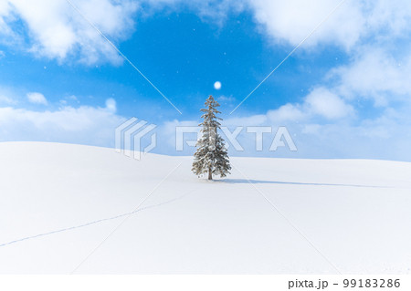 クリスマスツリーの木　絶景の冬景色　北海道　美瑛 99183286