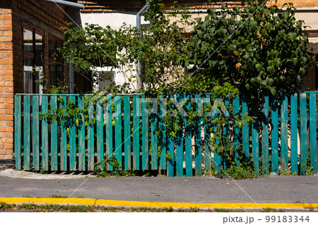 The old weathered wooden green fence near residential homes 99183344