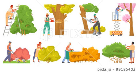 Gardener worker pruning tree plant vector set Gardener worker pruning tree plant vector set 99185402