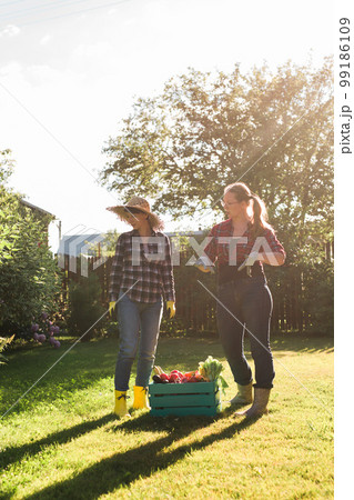 Two women farmer working in gardening. Gardener carrying crate with freshly harvested vegetables in garden. Two women farmer working in gardening. Gardener carrying crate with freshly harvested vegetables in garden. 99186109
