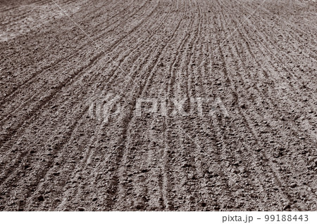 plowed furrows in the ground 99188443