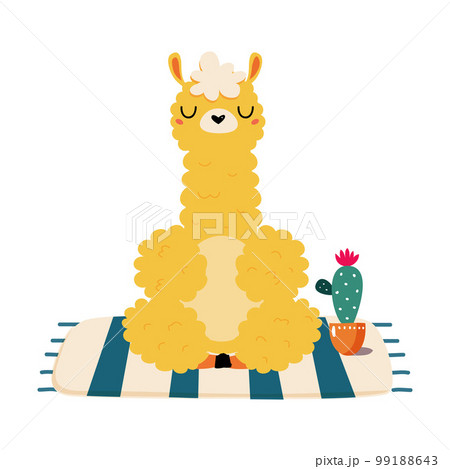 Cute funny baby alpaca meditating in lotus position. Adorable animal practicing yoga exercise cartoon vector illustration 99188643