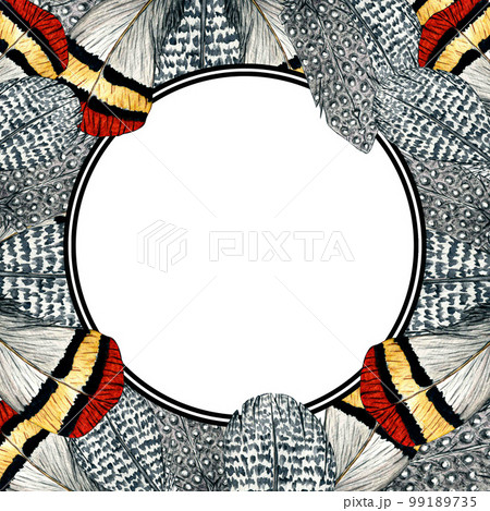 Watercolor frame of feathers on white background. Nature illustration for kids design and postcards. 99189735