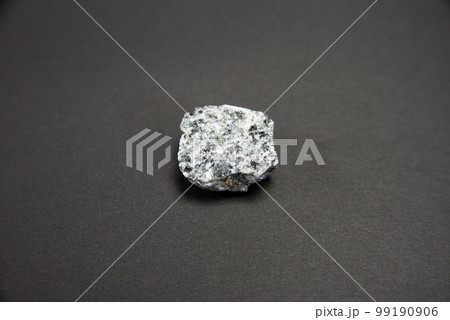 岩石標本　閃緑岩　 99190906