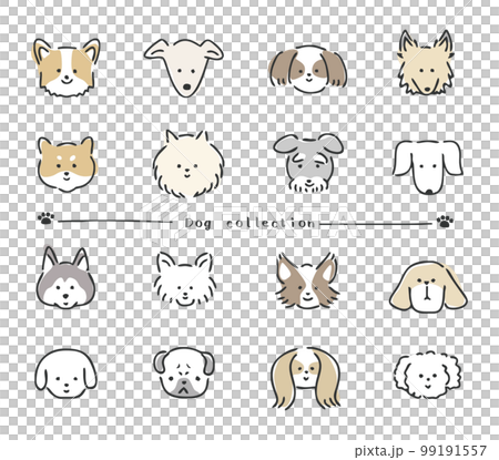 狗例證集合 99191557