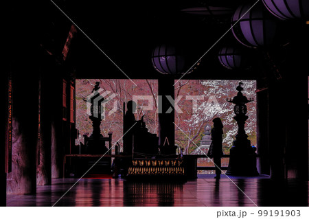 祈り 桜色の長谷寺 横構図 祈り 桜色の長谷寺 横構図 99191903