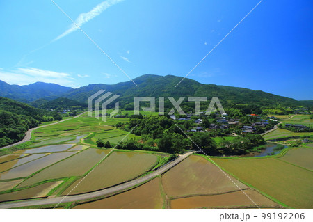 初夏の田染荘（田植えの頃・豊後高田市・世界農業遺産） 99192206