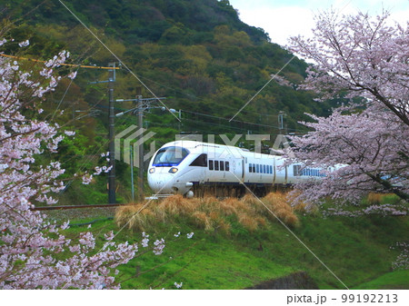 満開の桜と白いソニック(大分市) 満開の桜と白いソニック(大分市) 99192213