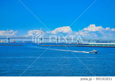 横浜ベイブリッジと夏空 横浜ベイブリッジと夏空 99192831