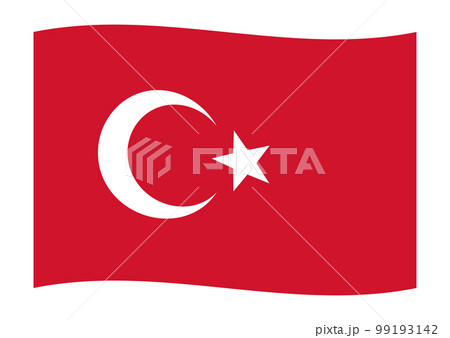 トルコ・シリア地震支援　風になびくトルコの国旗