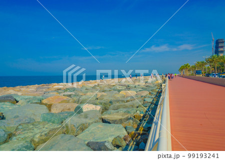 パームジュメイラの海岸線（ドバイ） 99193241