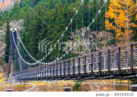 湯西川水の郷大吊橋　吊橋のある景色 99194610