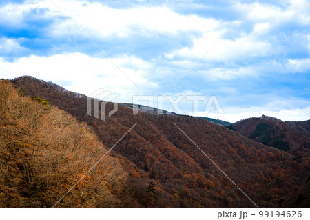 晩秋の山景色 奥日光の紅葉 晩秋の山景色 奥日光の紅葉 99194626