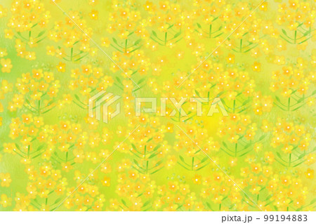 菜の花畑 99194883