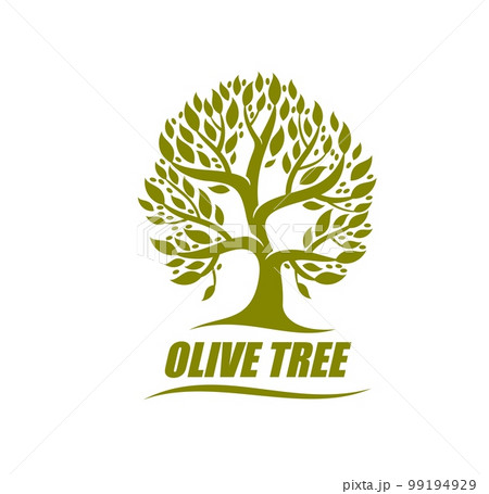 Olive tree icon, symbol, isolated vector emblem with plant with green leaves on branches. Label for eco food production, agriculture identity branding, natural organic cosmetics, oil symbolic 99194929