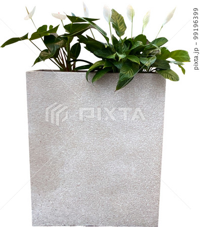 花 按手リウム 植木鉢 99196399