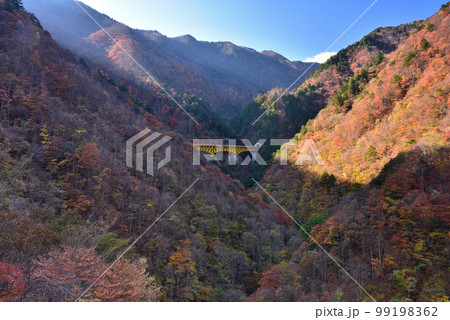 豆焼橋からの紅葉 99198362