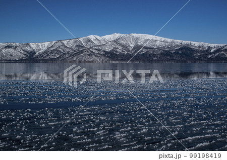 フロストフラワー フロストフラワー 99198419