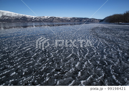 フロストフラワー フロストフラワー 99198421