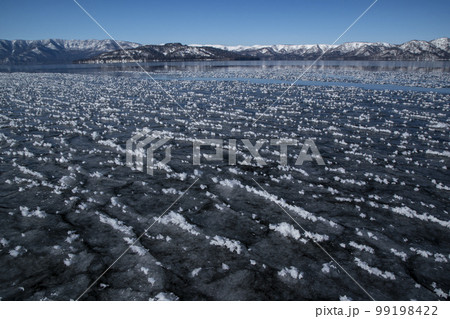 フロストフラワー 99198422