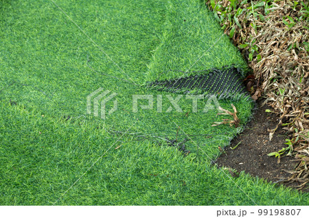 An incomplete green artificial turf used for covering sport arena or garden. An incomplete green artificial turf used for covering sport arena or garden. 99198807
