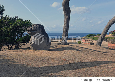 伊豆大島の長根浜公園のゴジラ像 伊豆大島の長根浜公園のゴジラ像 99198867