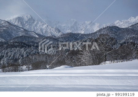 雪原の大地 99199119