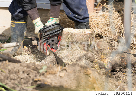 チェーンソーで切り株を切る チェーンソーで切り株を切る 99200111