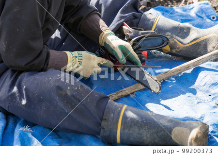 チェーンソーの刃を研ぐ庭師 チェーンソーの刃を研ぐ庭師 99200373