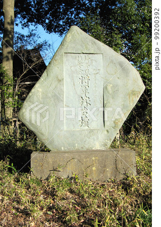 野本将軍塚古墳の石標【埼玉県指定史跡】埼玉県東松山市 野本将軍塚古墳の石標【埼玉県指定史跡】埼玉県東松山市 99200392