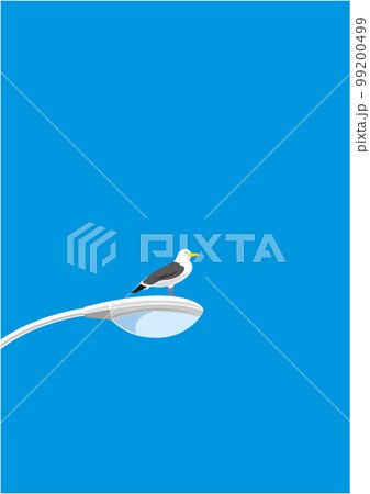 オオセグロカモメ08電灯青空タテ型 99200499